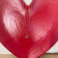 Tiger Paw Necklace