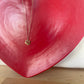 Tiger Paw Necklace
