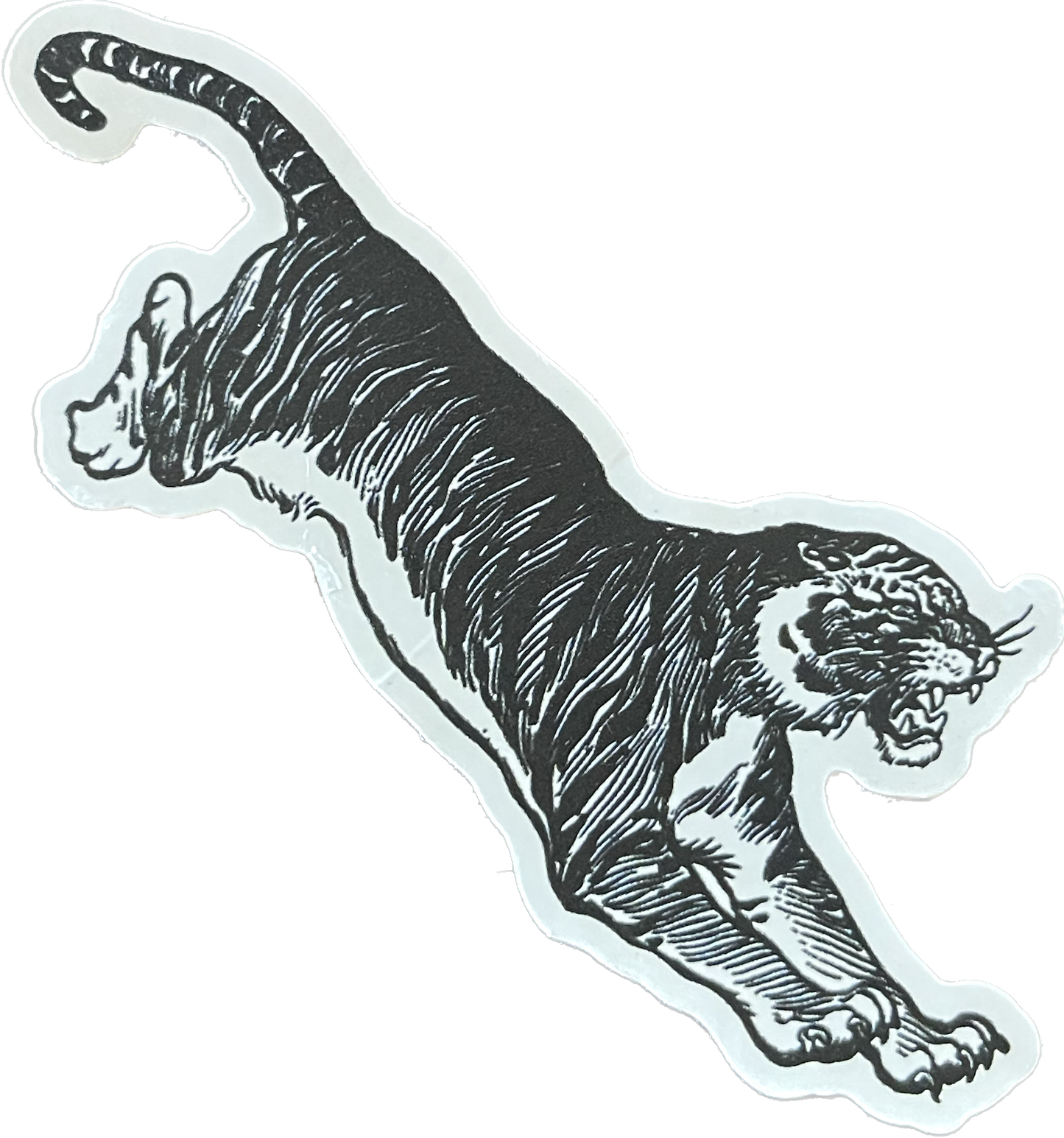 Pounce Tiger
